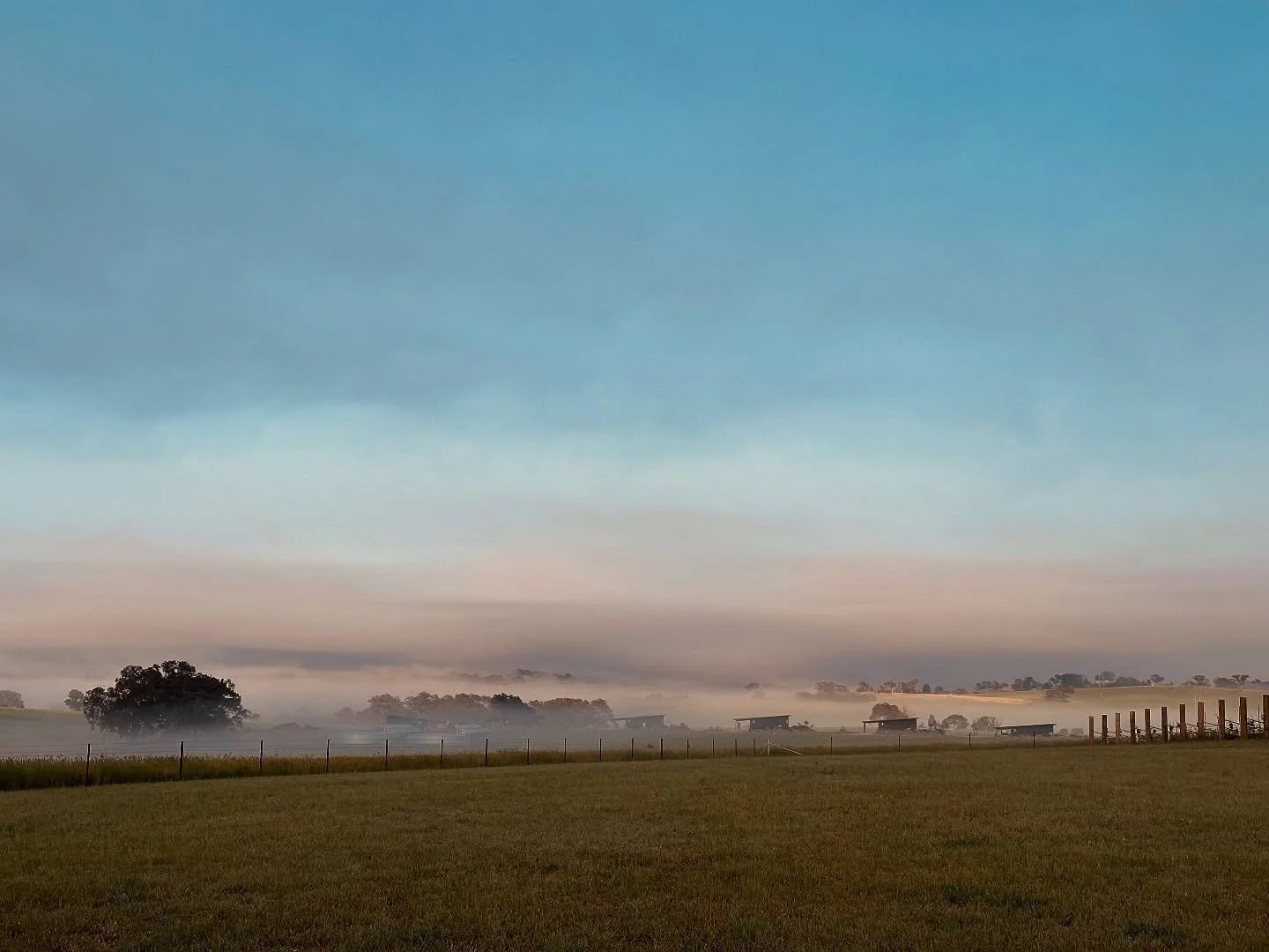 Foggy mornings and sunny days here at Rest @boxgrovebathurst