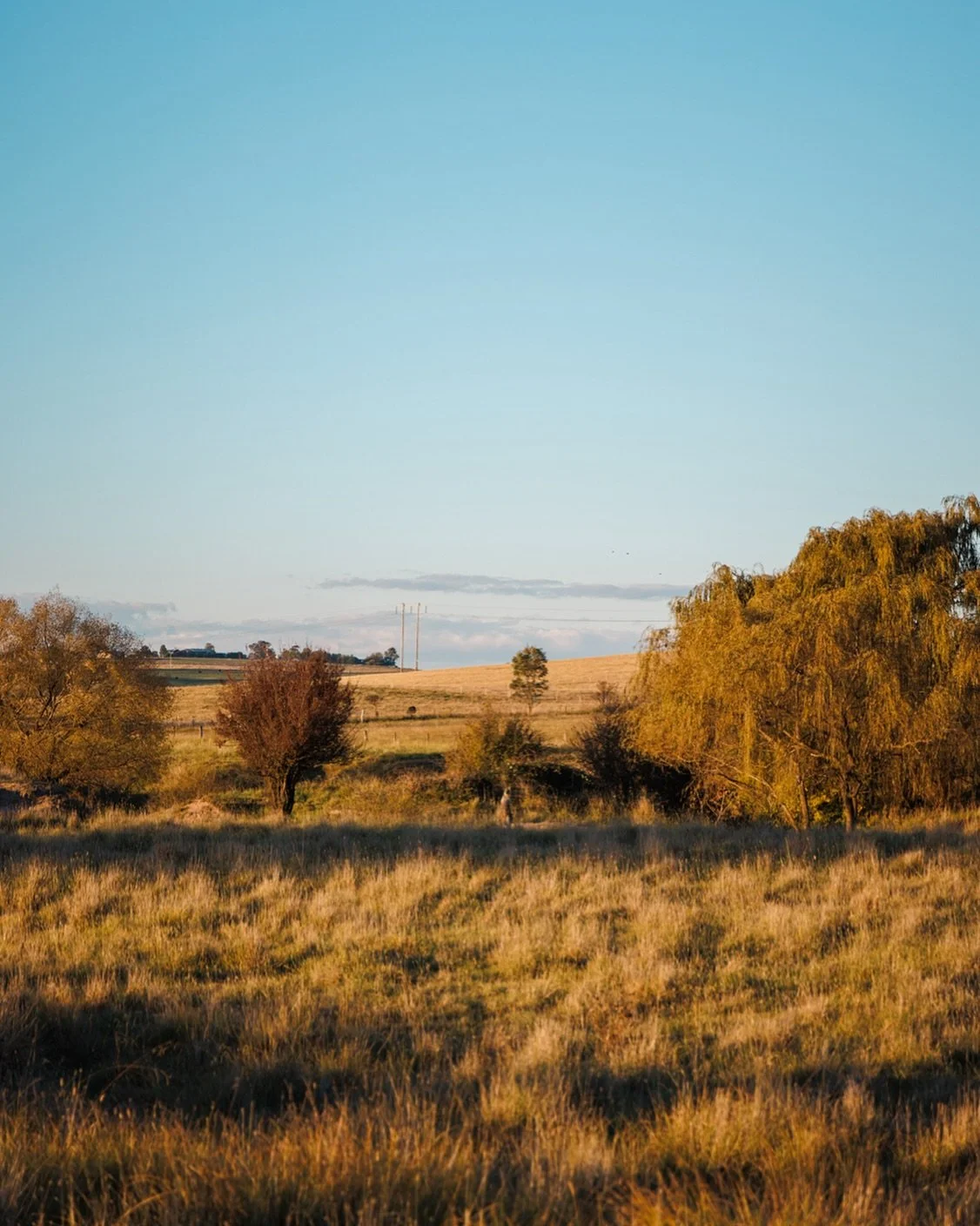 Reset at REST @boxgrovebathurst 

#visitbathurst #visitnsw #offgrid #farmstay #luxurytravel #bathurst #sydneyweekend
