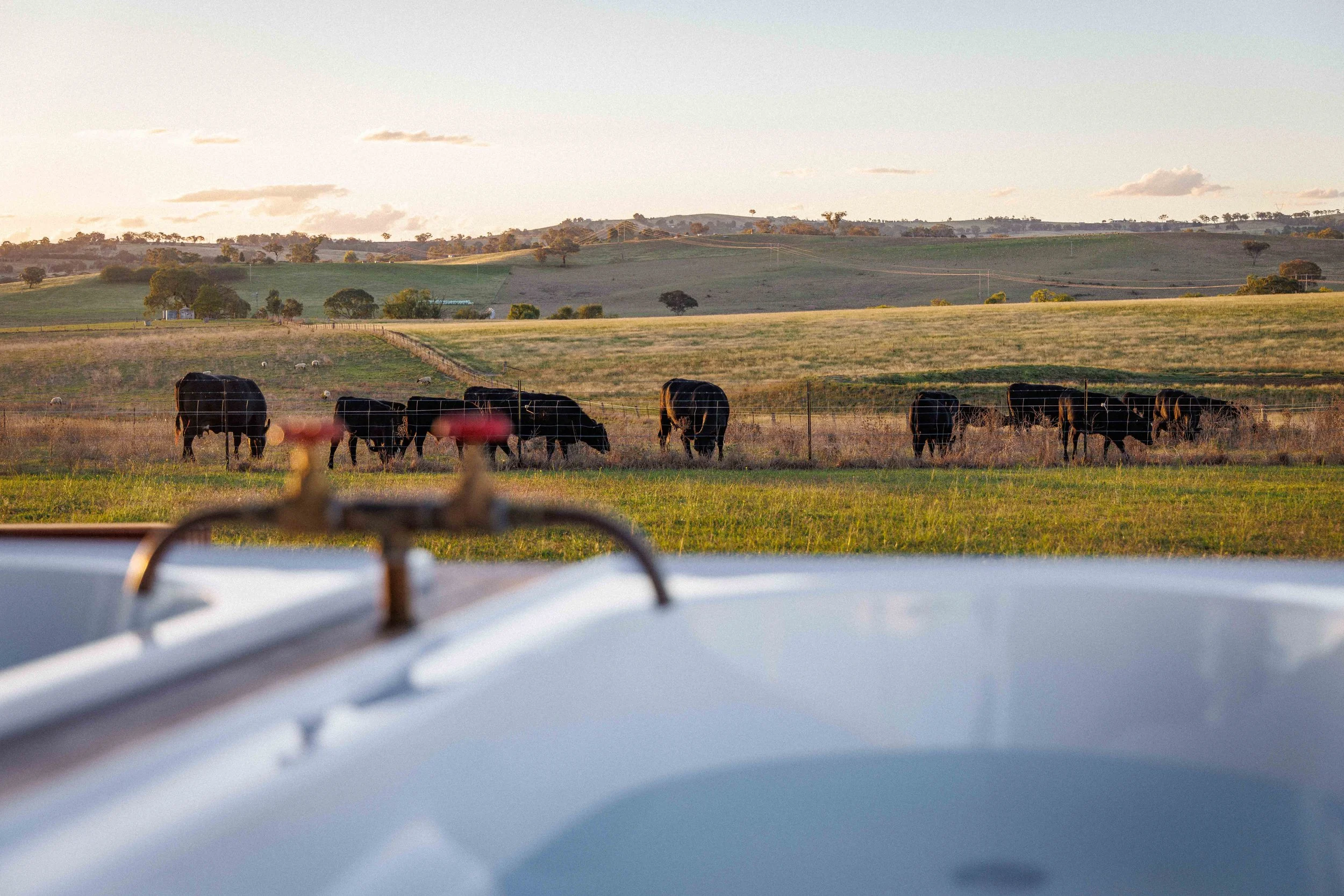 2K2A5456 copyCOMP.jpg