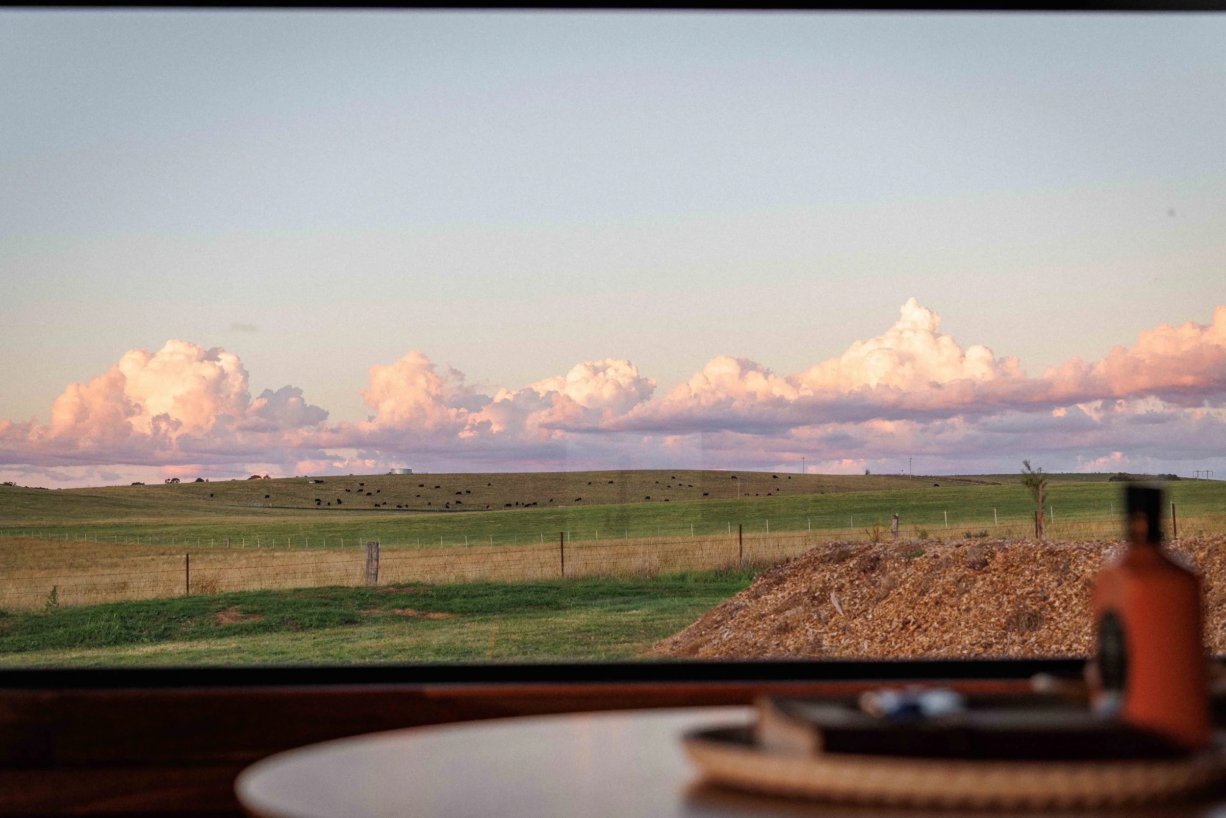 2K2A5504 copyCOMP.jpg