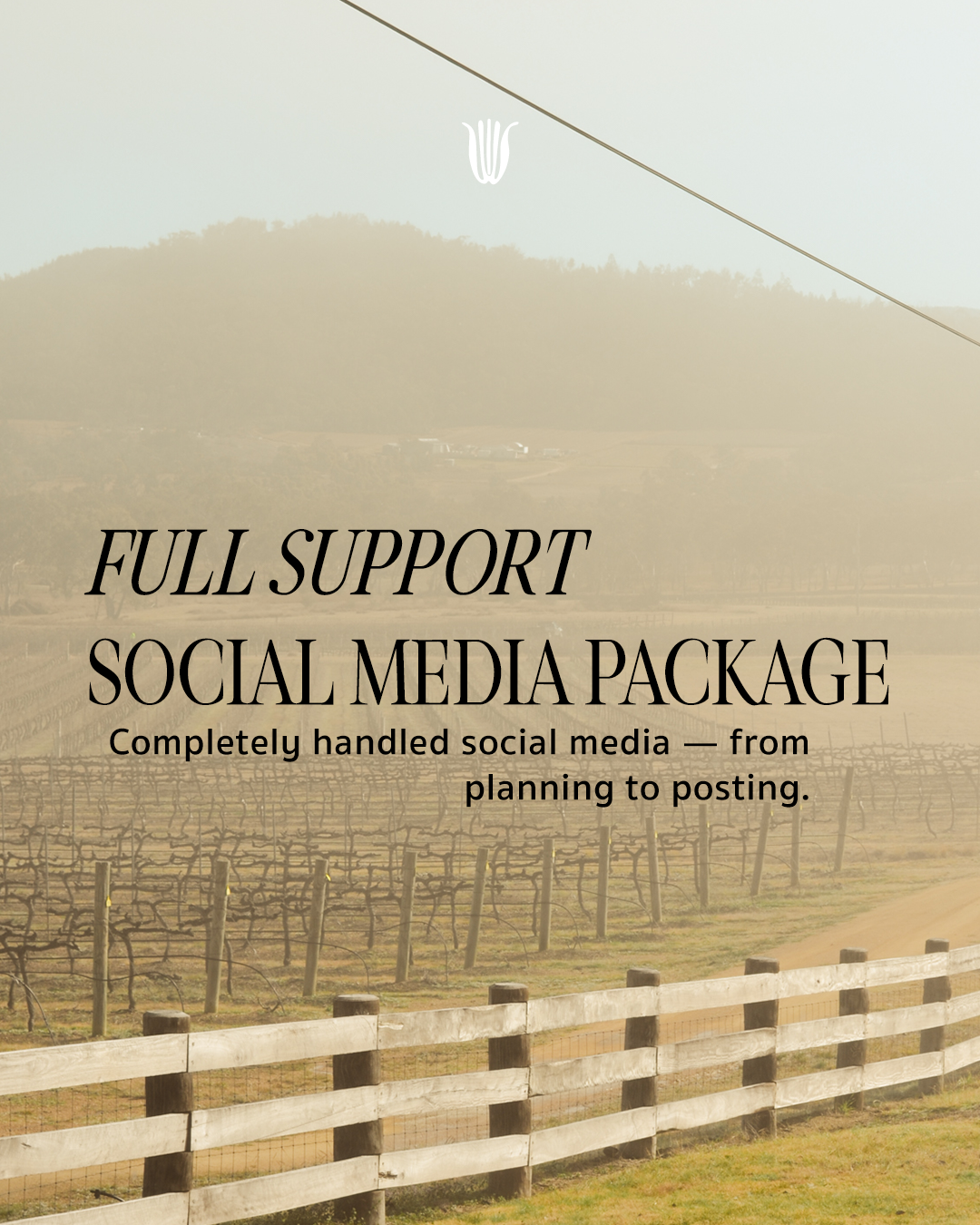 Promotional graphic for a social media support package featuring a misty vineyard with wooden fence, hills in the background, and text overlay detailing social media planning and posting services.
