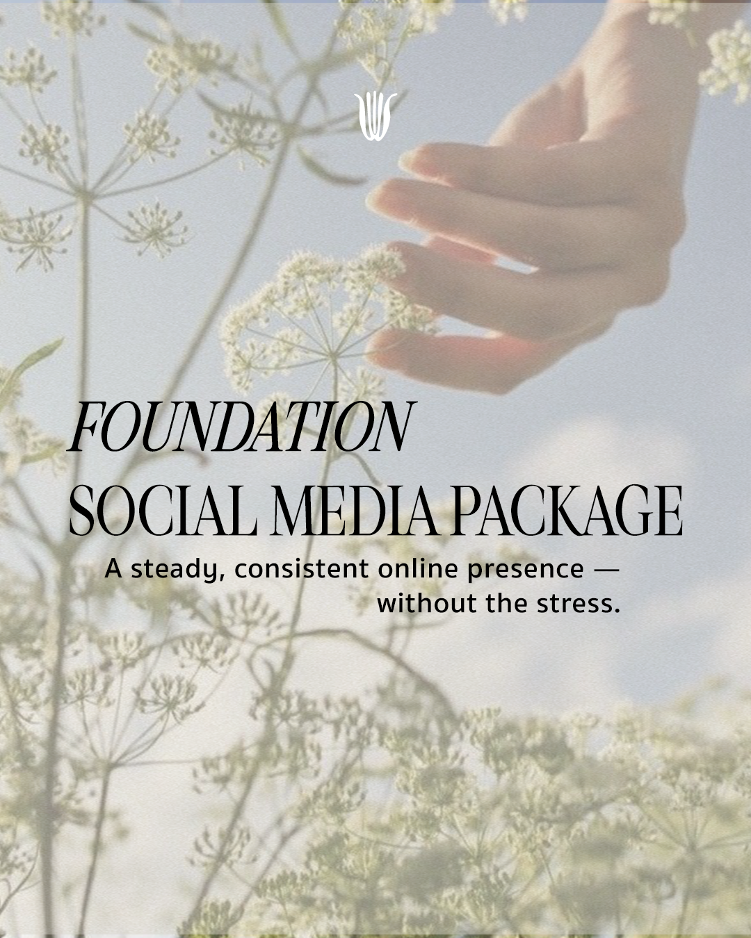 A person with light skin reaching out towards white wildflowers against a clear sky, with the overlay text: "FOUNDATION SOCIAL MEDIA PACKAGE - A steady, consistent online presence — without the stress."