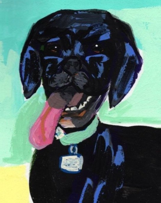 fine art print bold colorful dog art portrait dog lover art