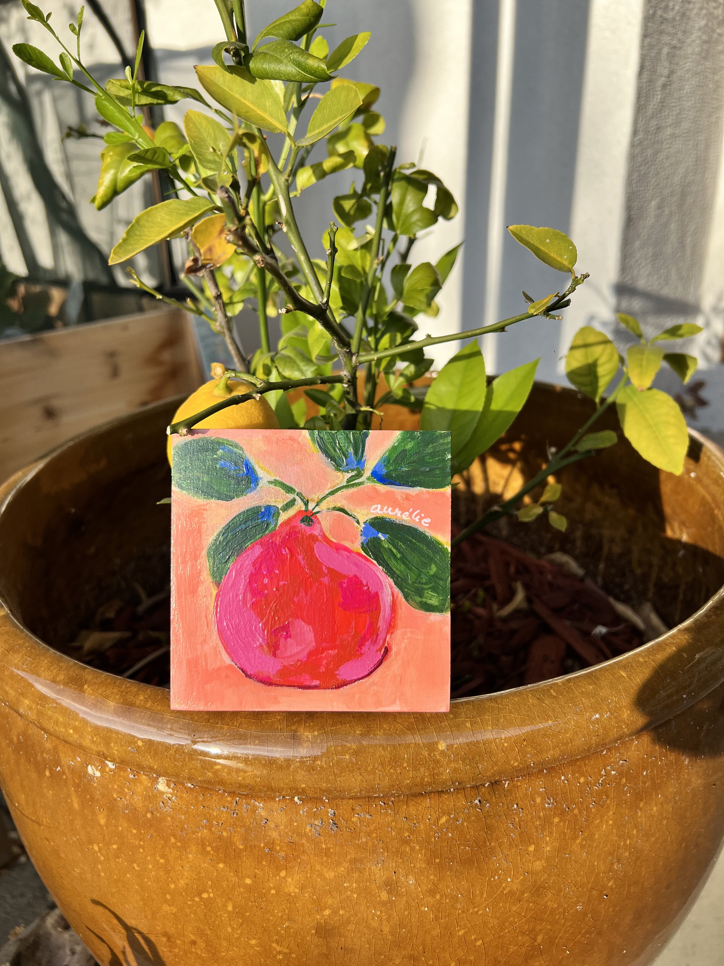 Single fruit on coral background, food waste resistance, piece de la resistance, red fruit