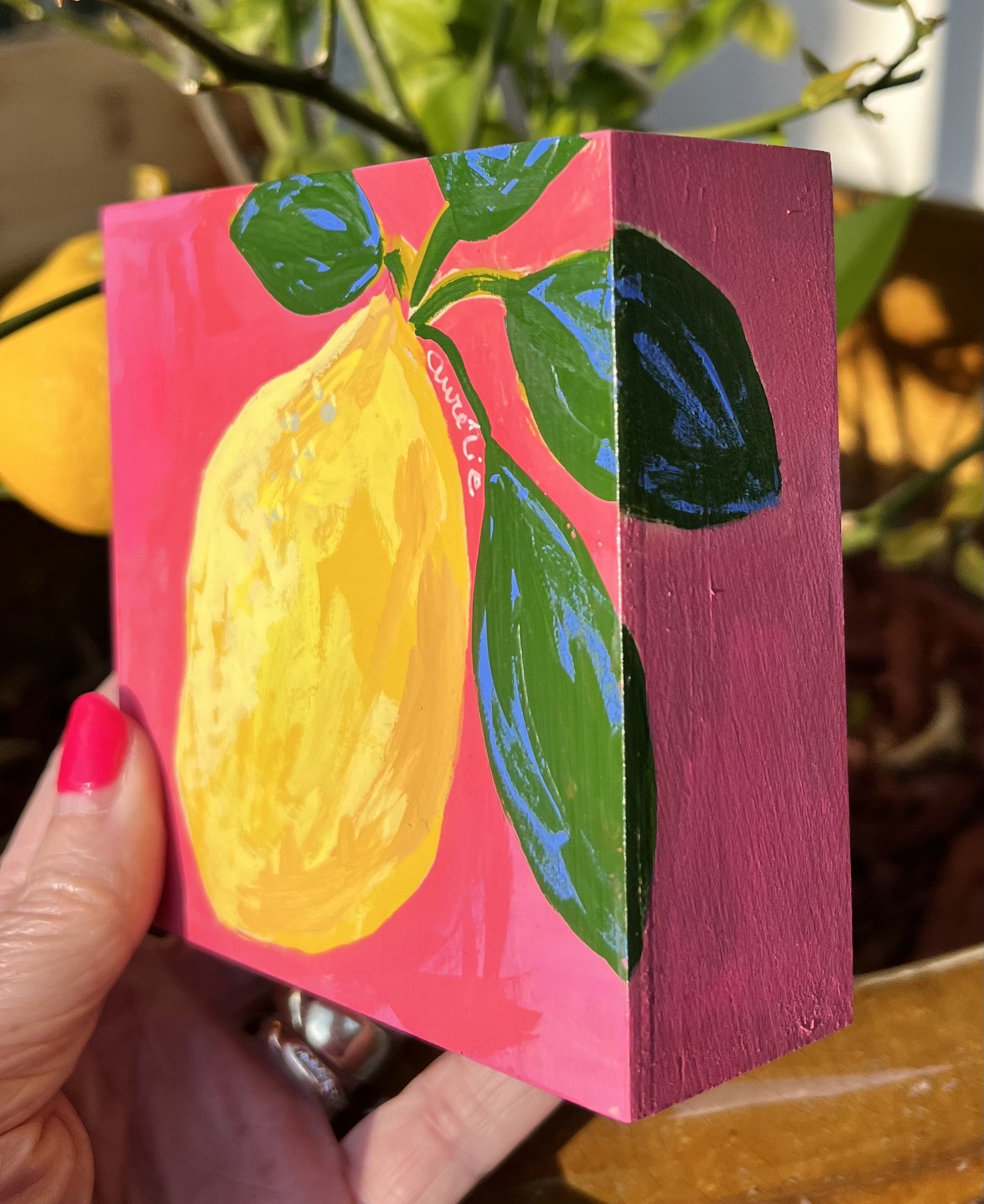 Single lemon on pink background, food waste resistance, piece de la resistance, lemon fruit