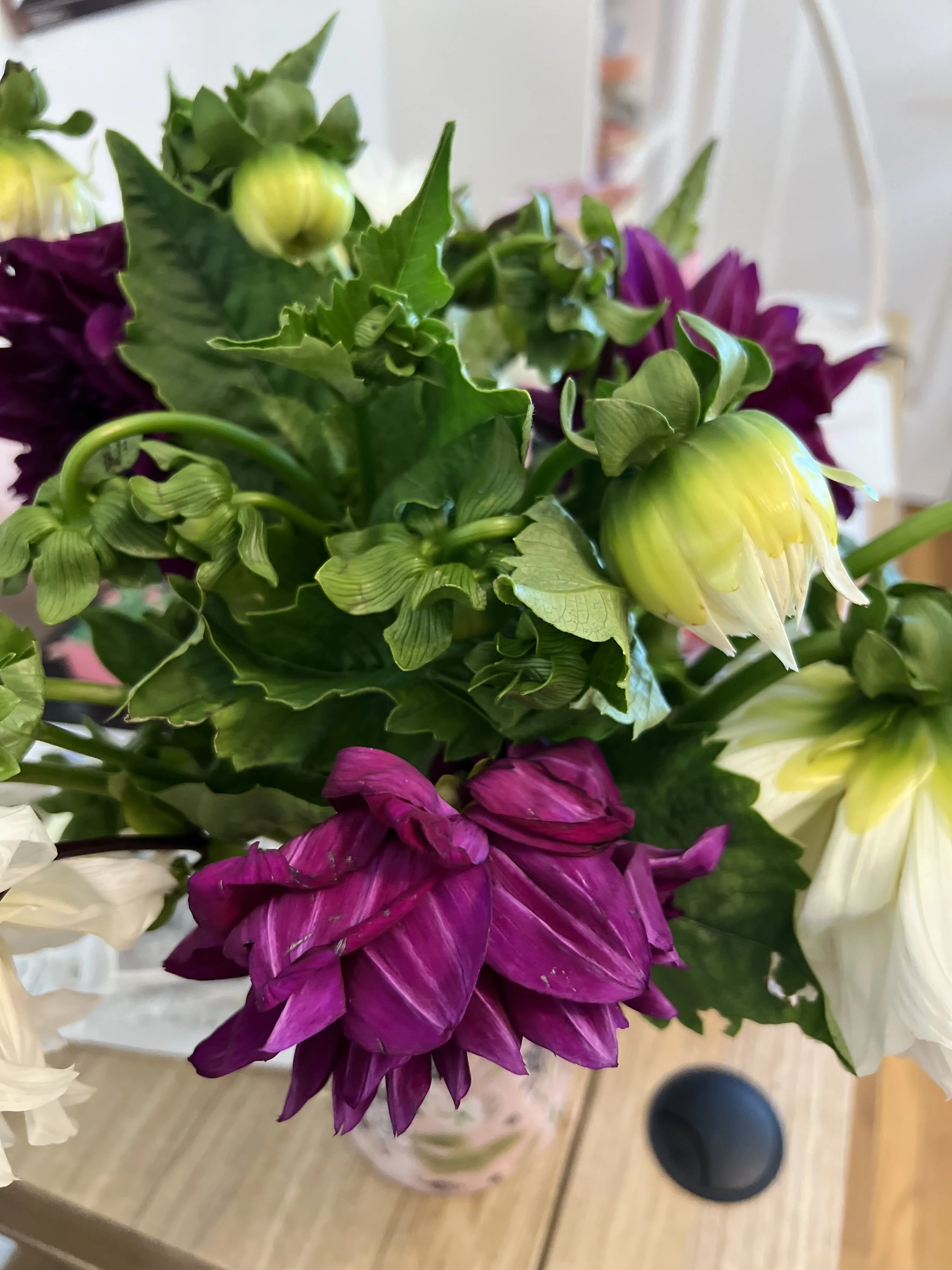 Bouquet of fresh flowers, dahlias. Those flowers inspired the final artwork.