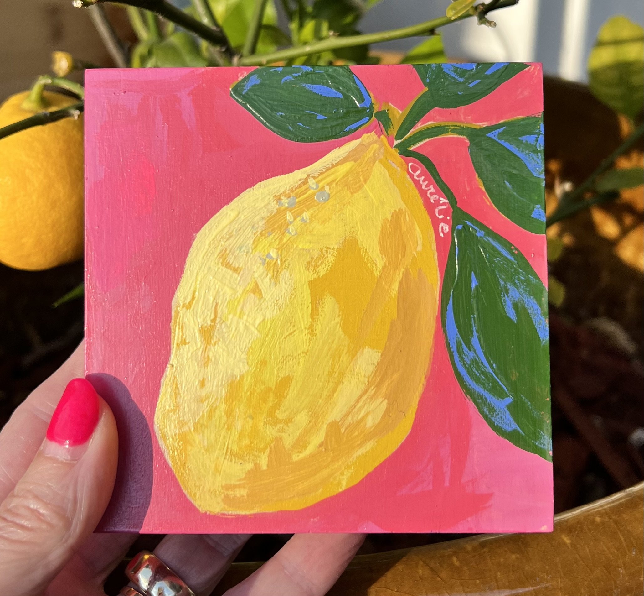 Single lemon on pink background, food waste resistance, piece de la resistance, lemon fruit