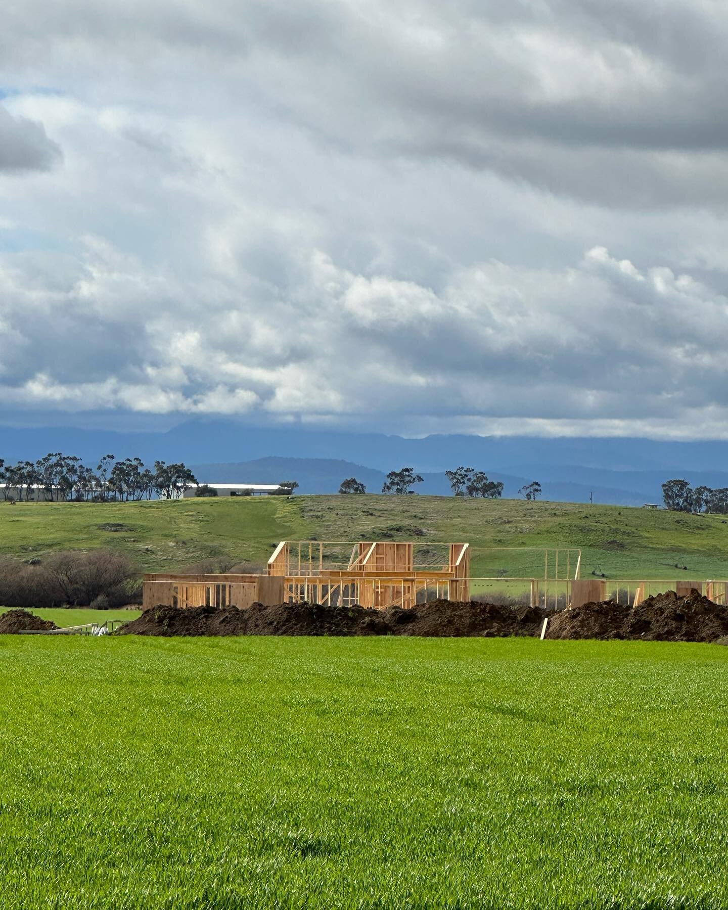 A house emerges from the dark soil against the verdant winter crops. tinamarakunah / Macquarie river in the mid ground, and turapina / Ben Lomond. Incredible work by Will Campbell, @daviesconstructiontas. Will keep you posted as it continues to grow.