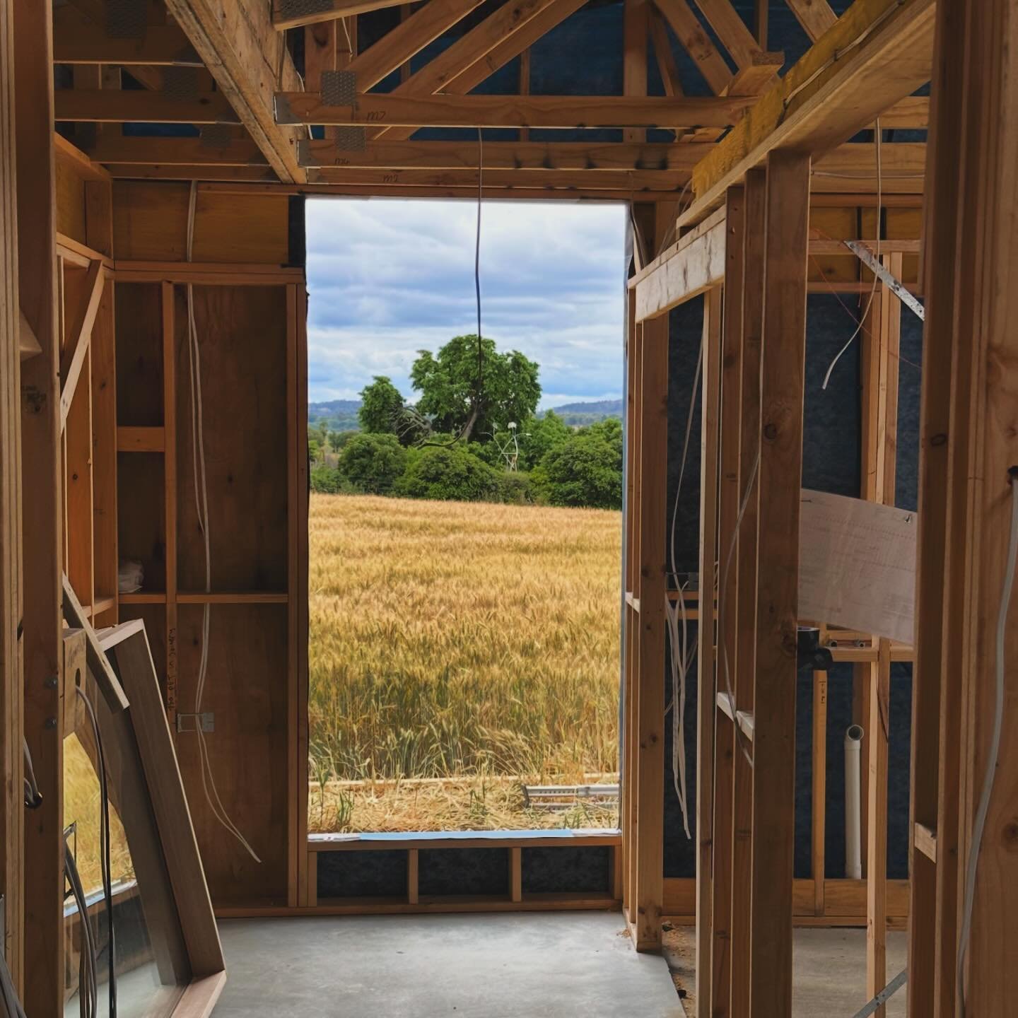 Long framed views to old trees and hills at Field house.