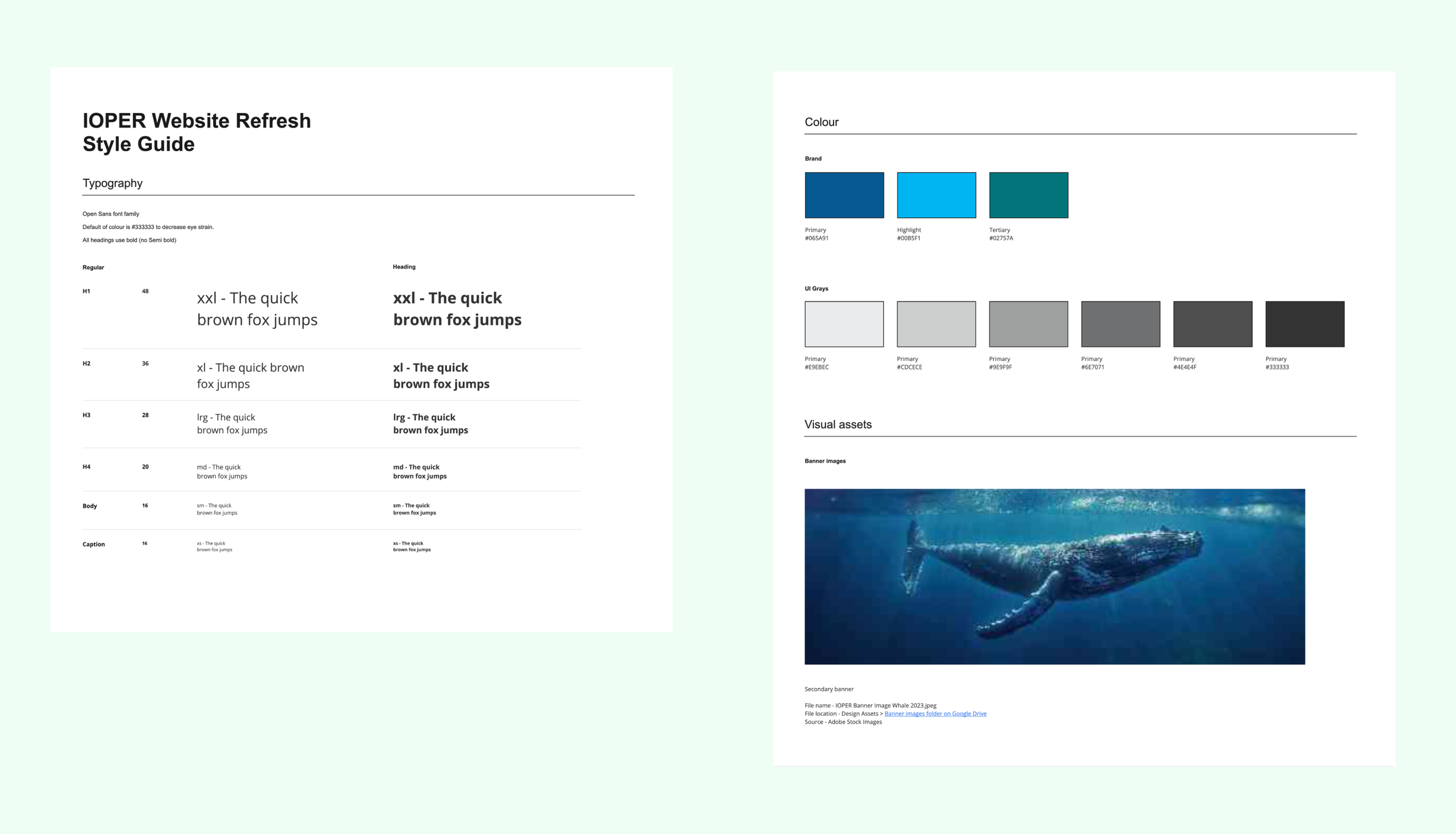 Style guide for the new website showing colour palette and typography requirements