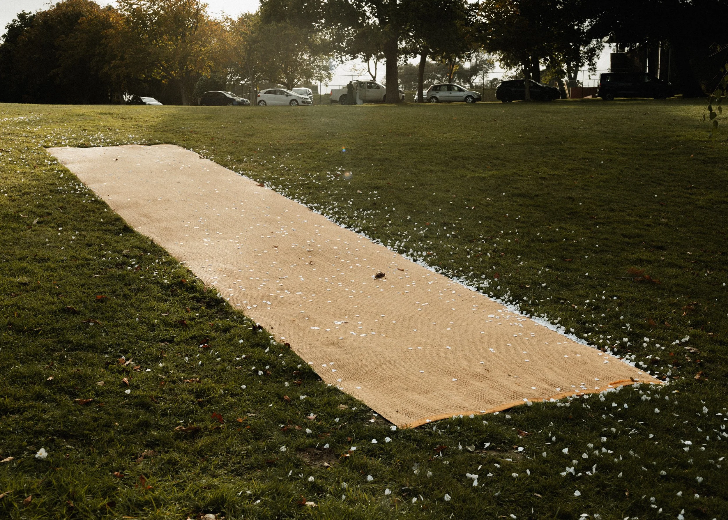 A beige carpet rolled out on green grass with white flower petals scattered around, in a park during late afternoon.