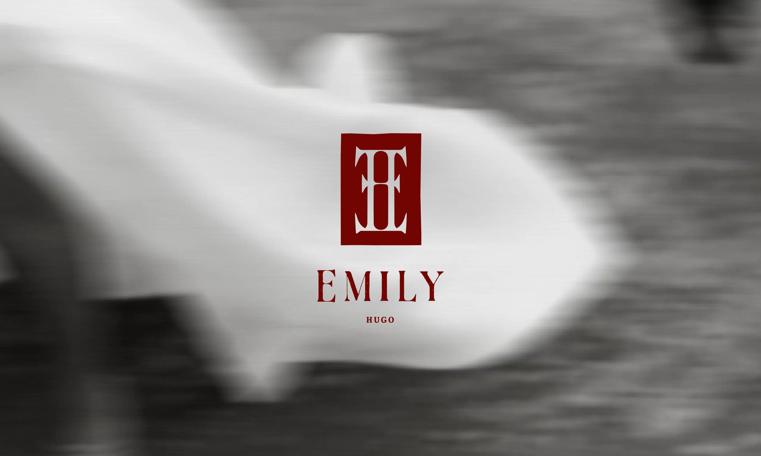 Emily Hugo | Strategy, Branding
