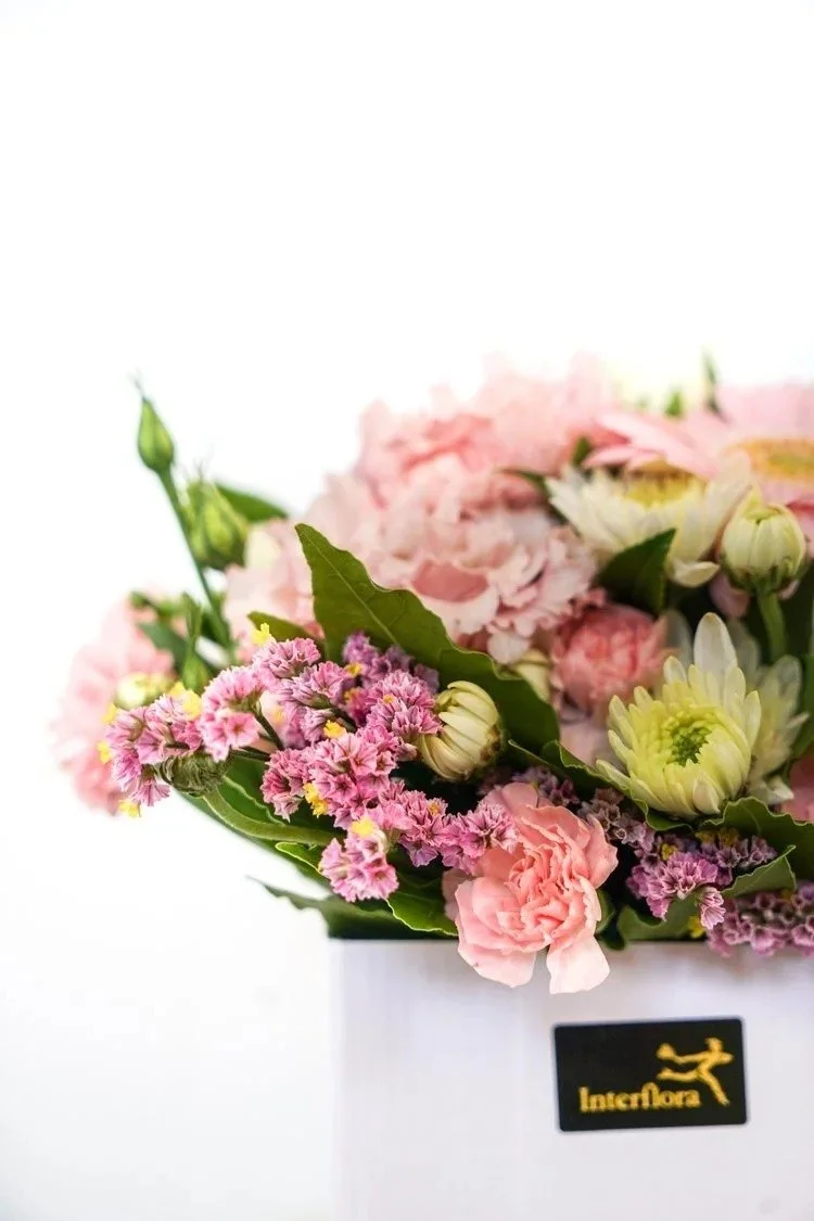 imgi_612_DSC04412.jpg