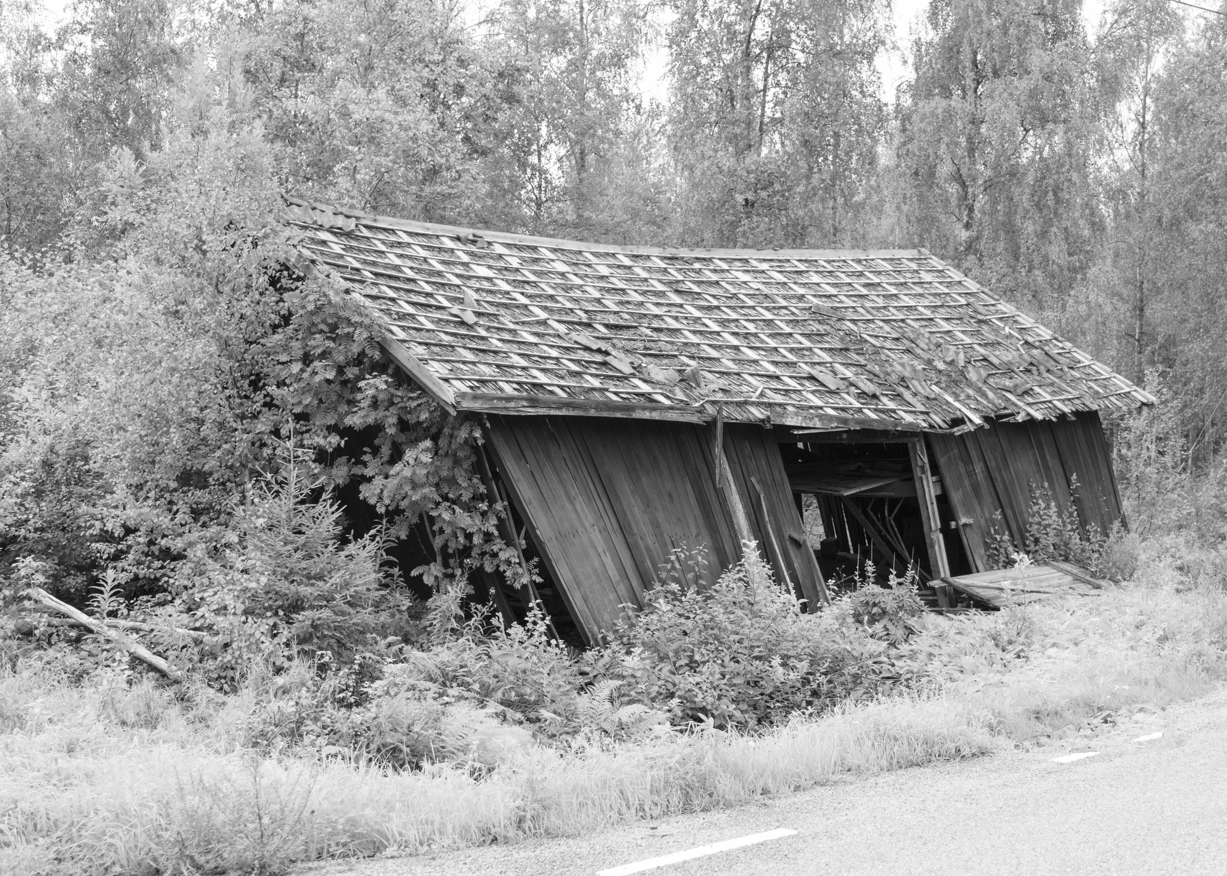 Svartvitt (30 av 30).jpg