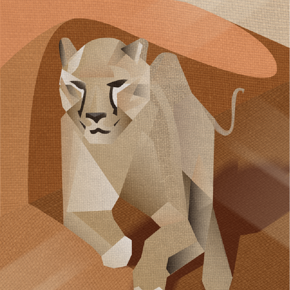 Illustration texture animal desert jaguar Laura Lapeby