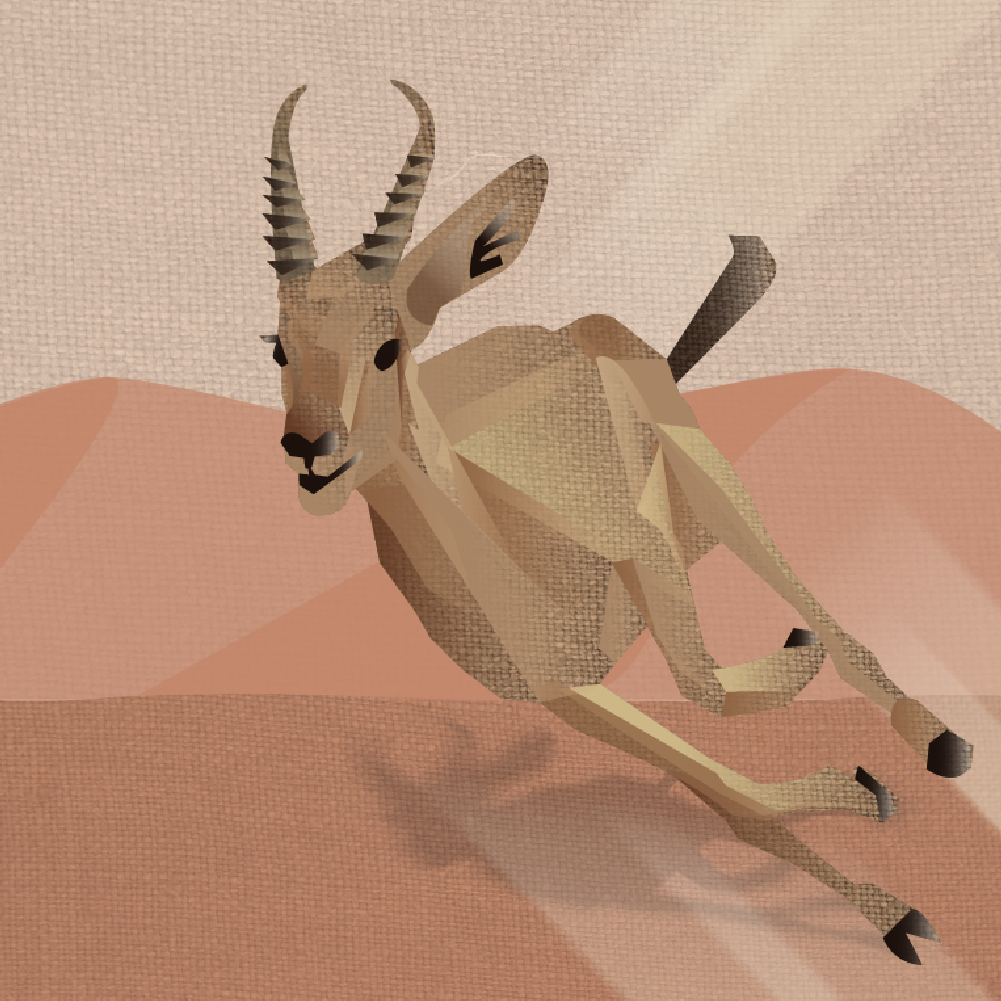 Illustration texture animal savana gazelle Laura Lapeby