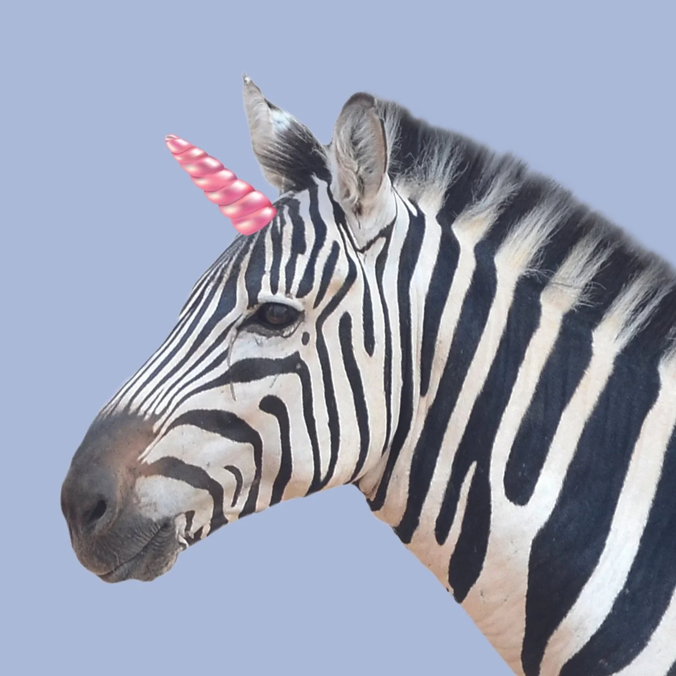 Zebra Unicorn Pastel - Laura Lapeby