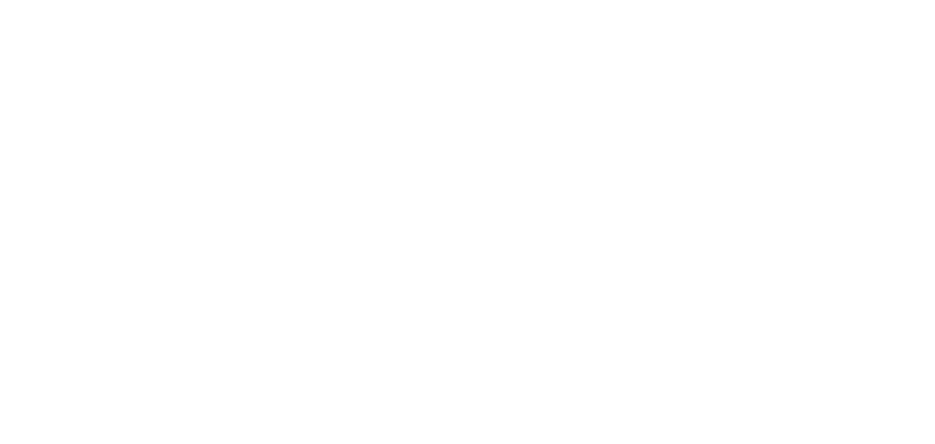 BRICI PHOTOGRAPHY