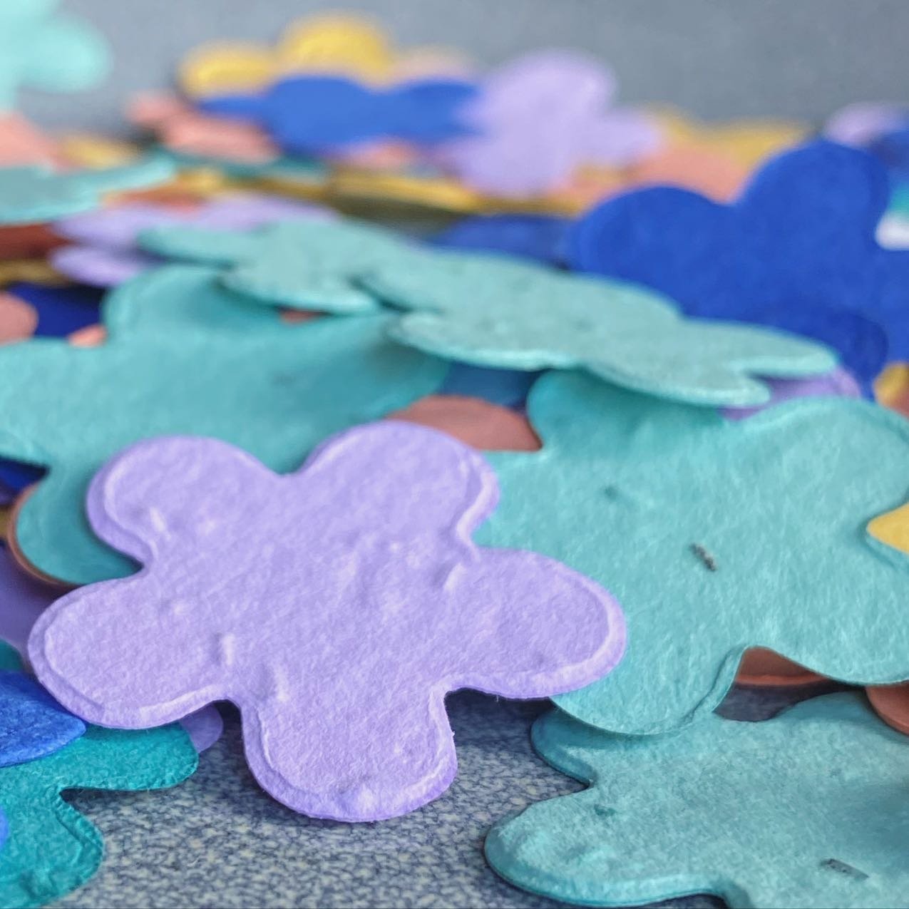 Check out the amazing colors of our Throw &amp; Grow confetti. Time to plant that colorful party! 💜💚💛🩷🩵
&bull;&bull;&bull;&bull;&bull;&bull;&bull;&bull;&bull;&bull;
#plantaparty #throwandgrow #plantableconfetti #plantablgifts #color #wildflowers