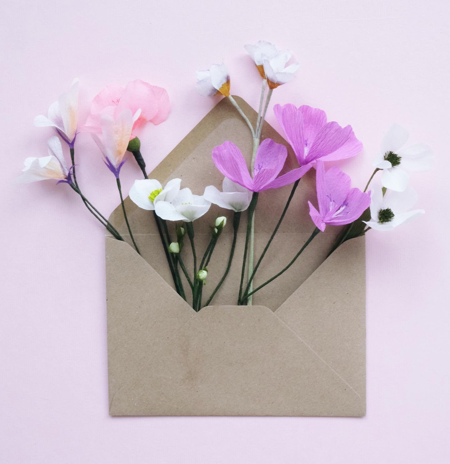 You can send an envelope full of wildflowers to someone special with our plantable Send &amp; Grow cards. 
We have designs for all kinds of celebrations &aacute;nd will be introducing 2 new styles in the upcoming weeks. 💫🌱
&bull;&bull;&bull;&bull;&