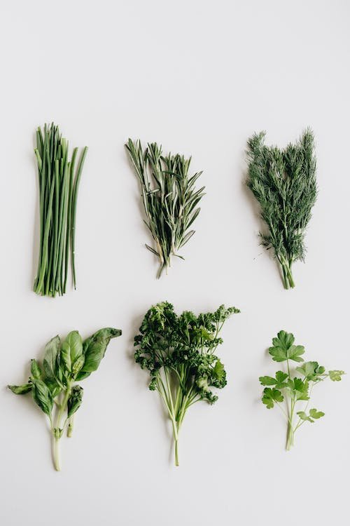 seasonal herbs.jpeg