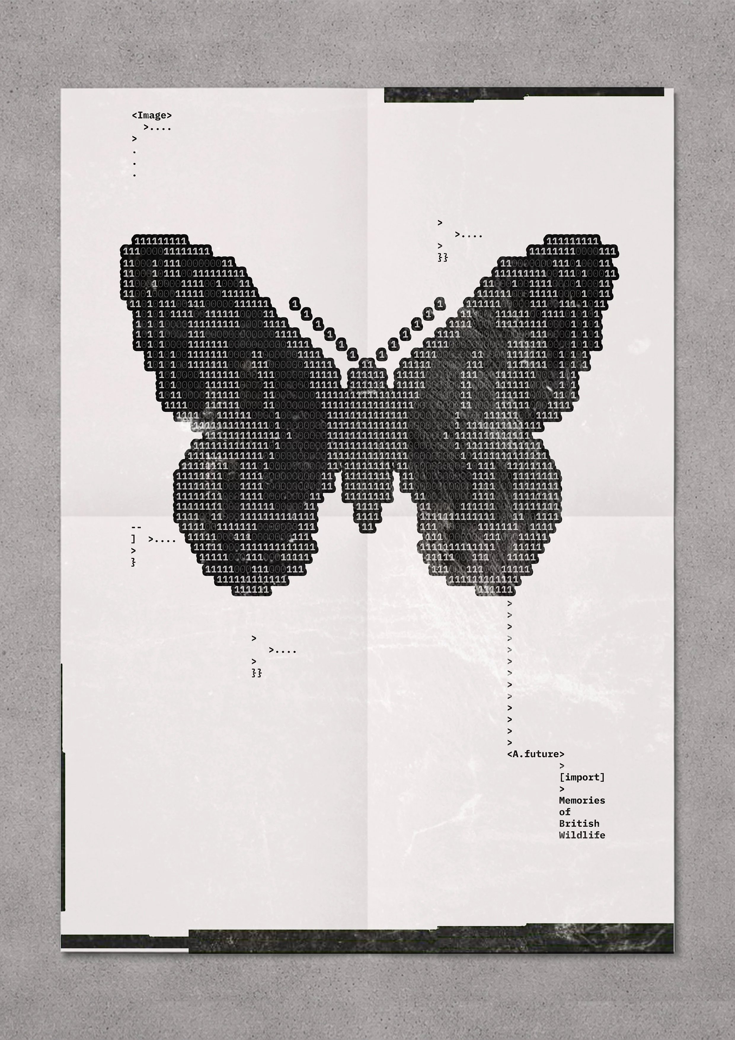 OB_MEMORIES_BRITISH_WILDLIFE_BUTTERFLY_V1 copy.jpg