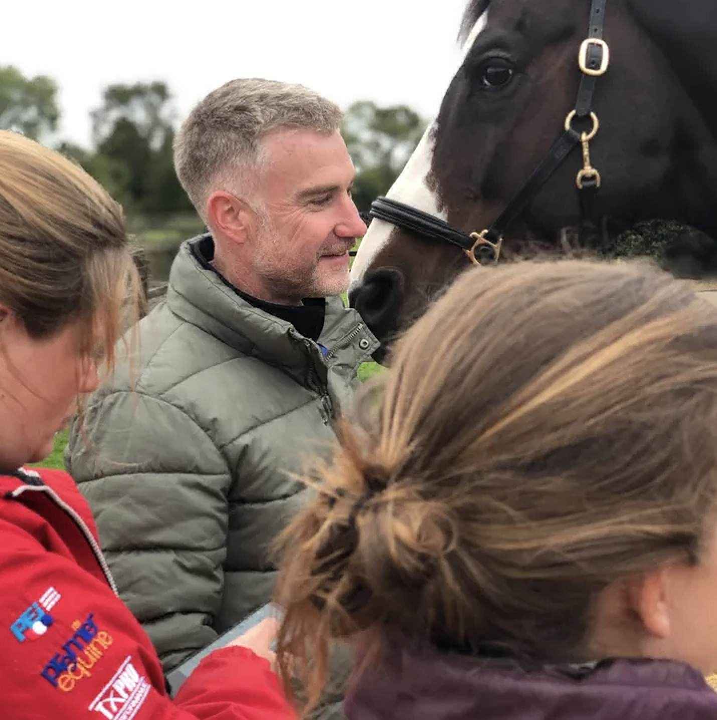 young horses for sale