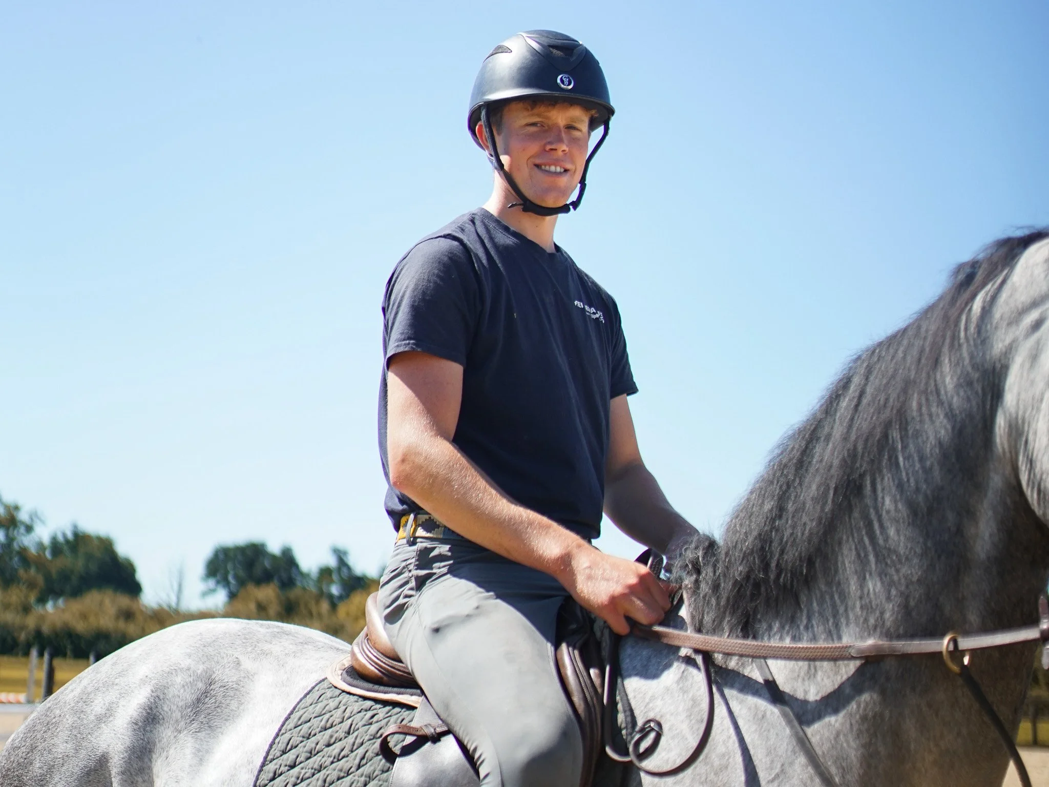 showjumping horses for sale