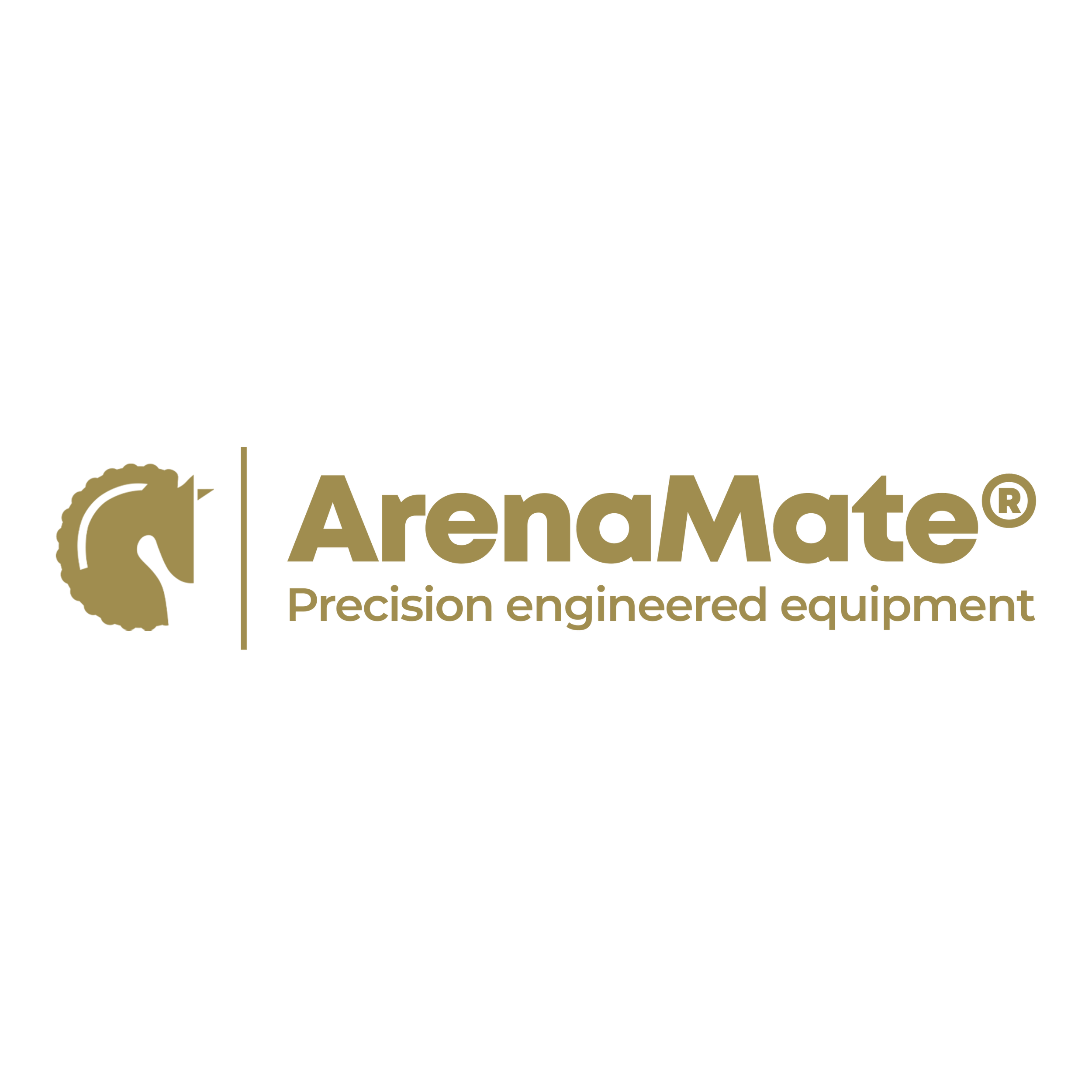 ArenaMate 1.png