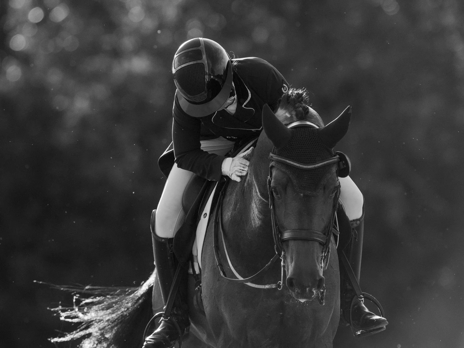 Calgary Area Alberta Dressage Association
