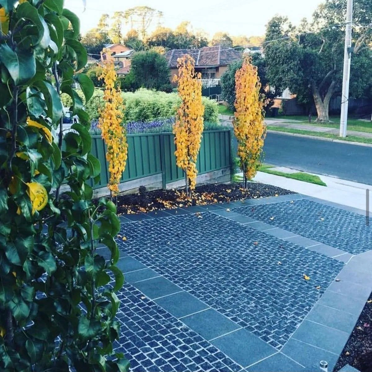 Monsoon Black Granite