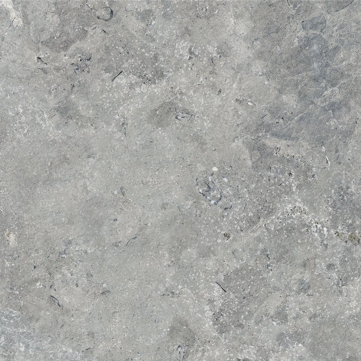 SHELL GREY SWATCH.jpg