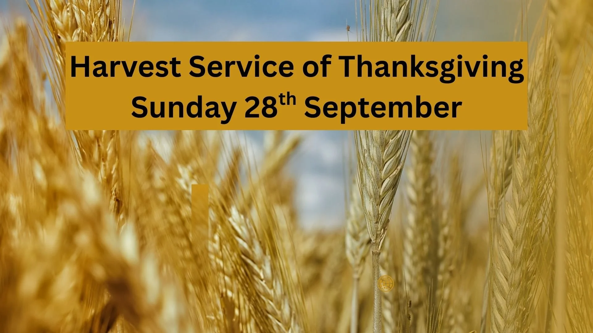 Harvest Thanksgiving Service
