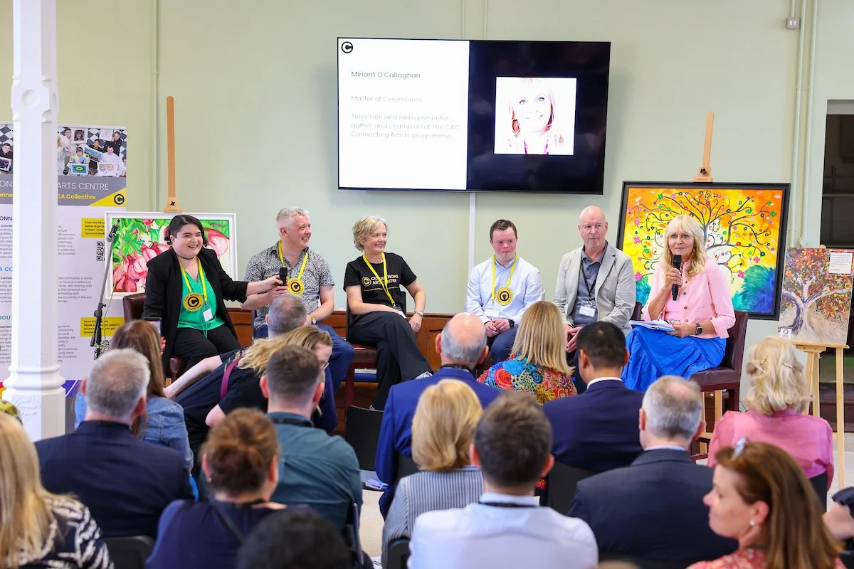https://www.westmeathindependent.ie/2026/06/05/knockcroghery-artist-features-at-launch-of-connecting-artists-collective-impact-report/