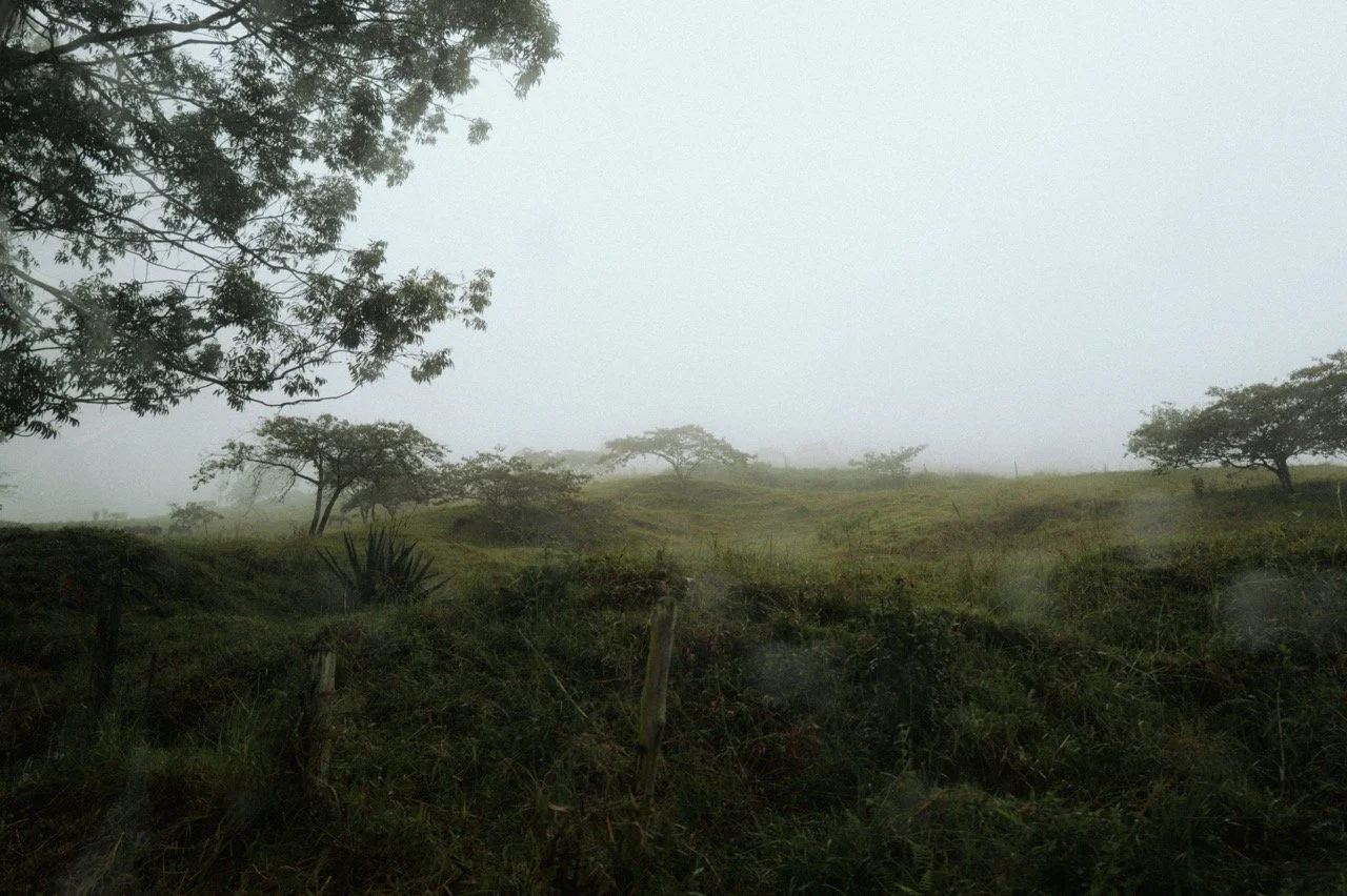 Groß (Kolumbien_Day03_by@paulinjnz000-5).jpeg