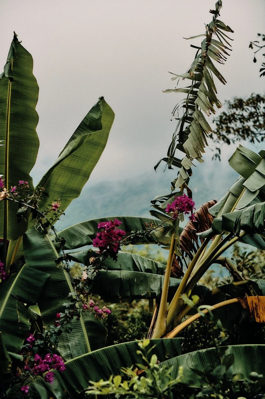 Groß (TDF_Colombia_Bjoern.Reschabek_07.10._122).jpeg