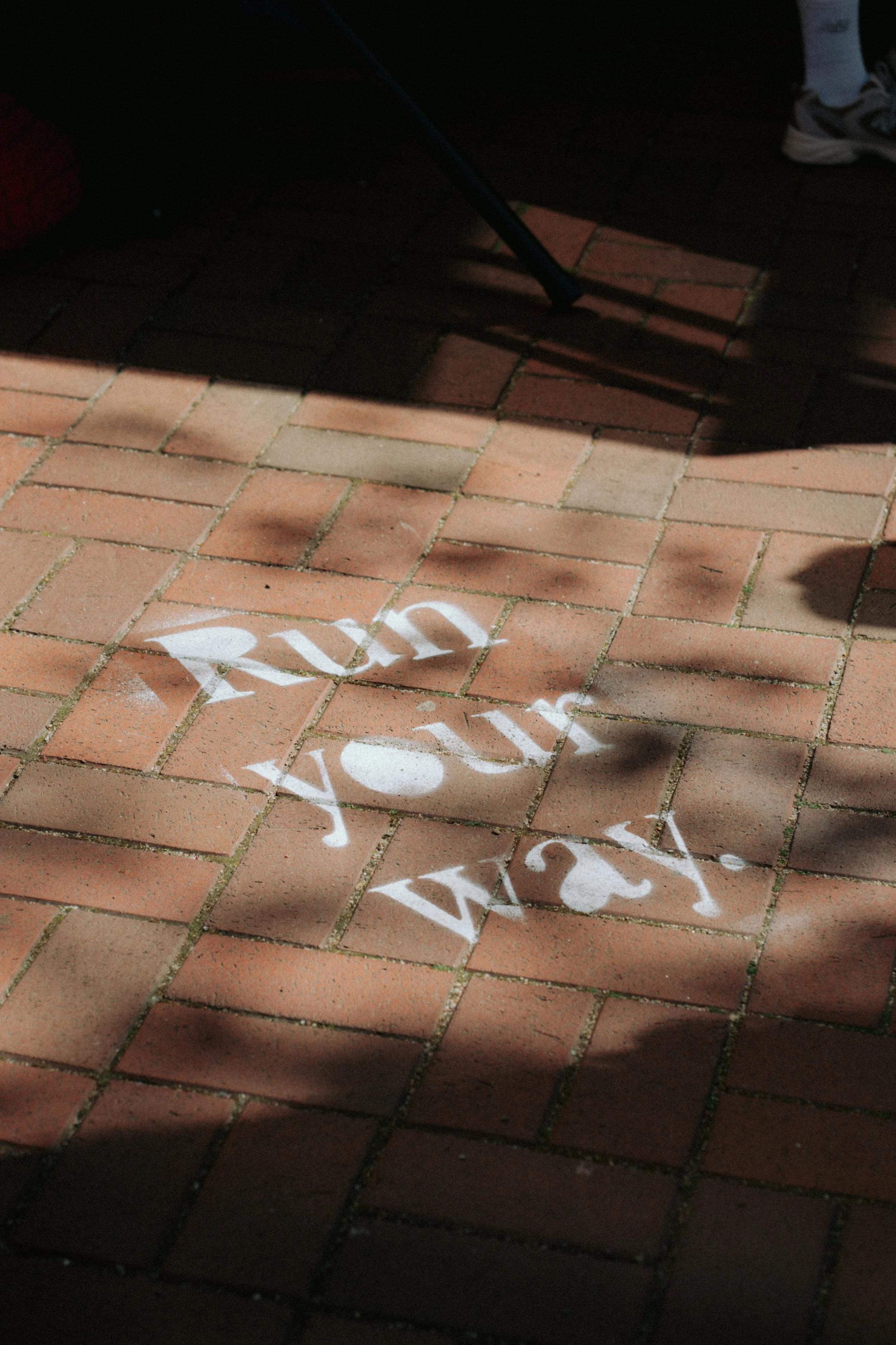 SHAKEOUTRUN BY @paulinjnz00053.jpeg