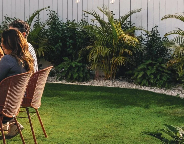 BACKYARD.jpg