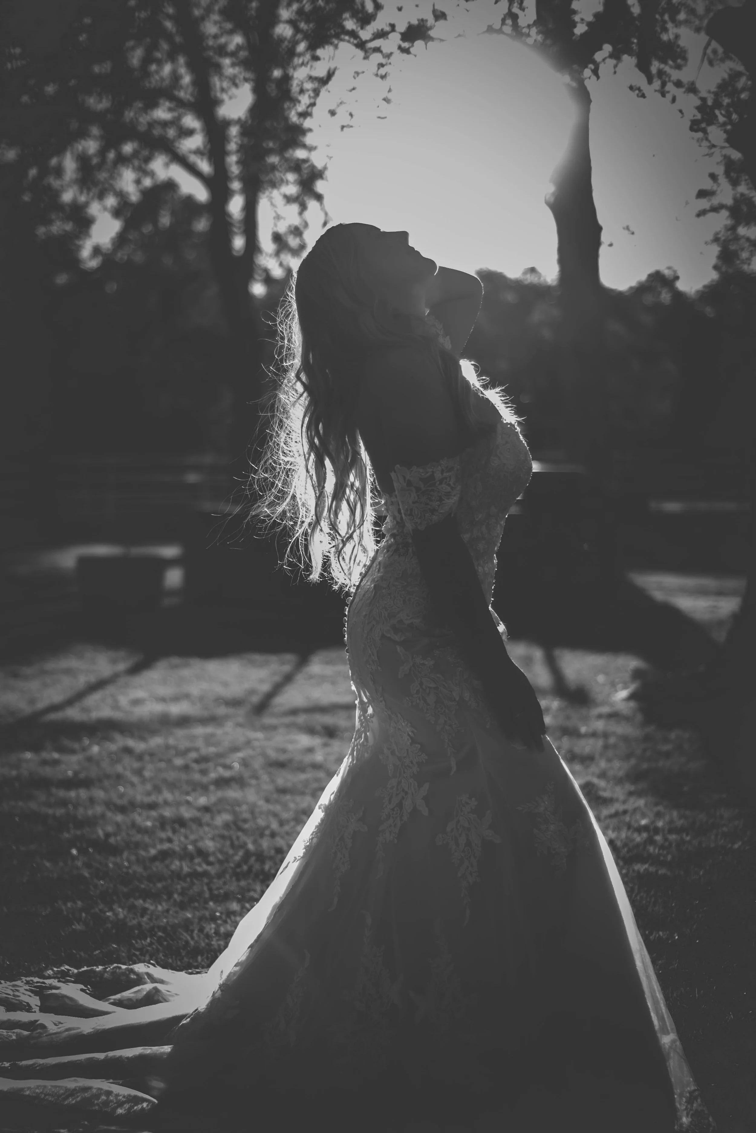 bride silhouette