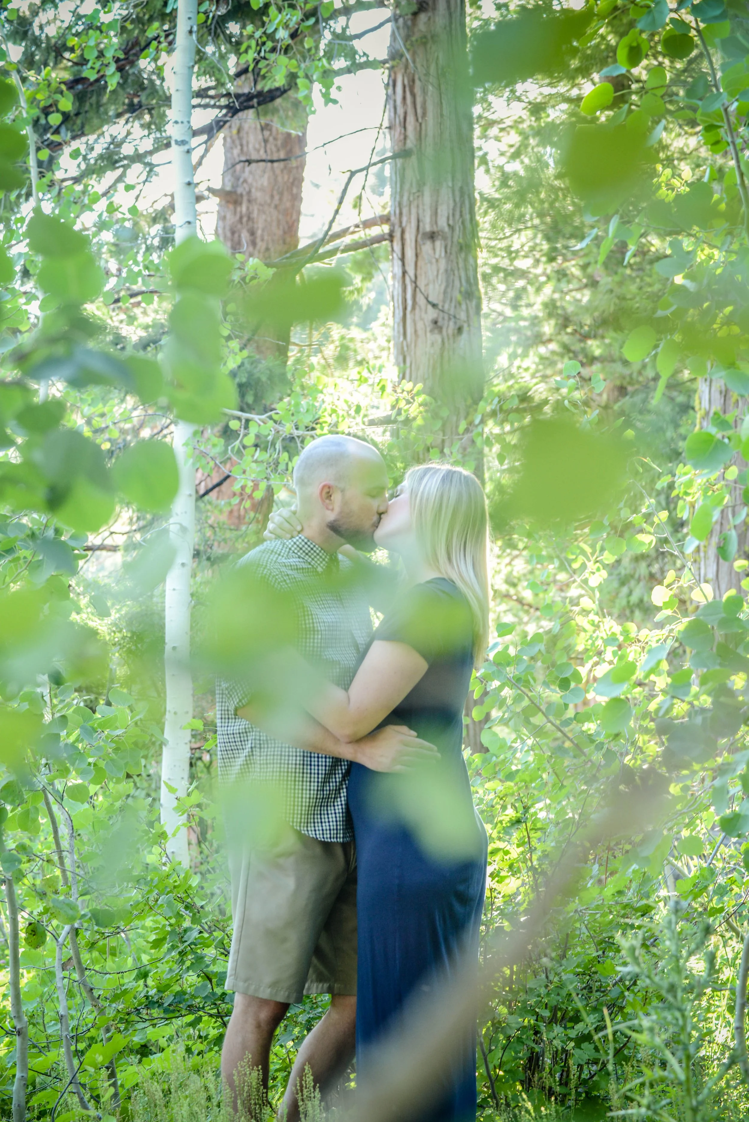 engagement in the trees