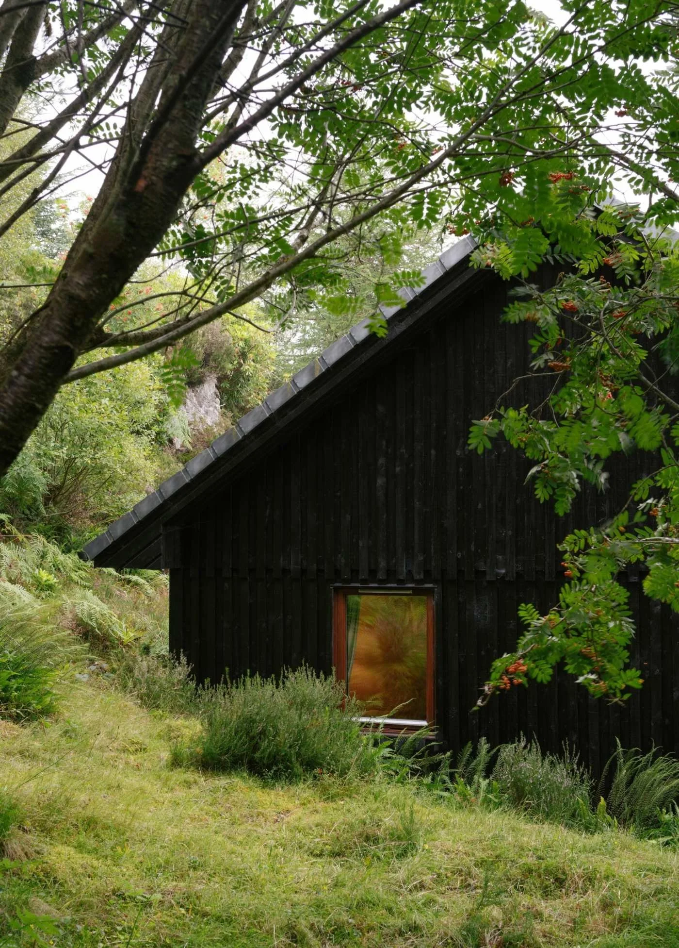 Black wooden house surrounded by greenery with a grassy yard and trees, located in a natural outdoor setting.