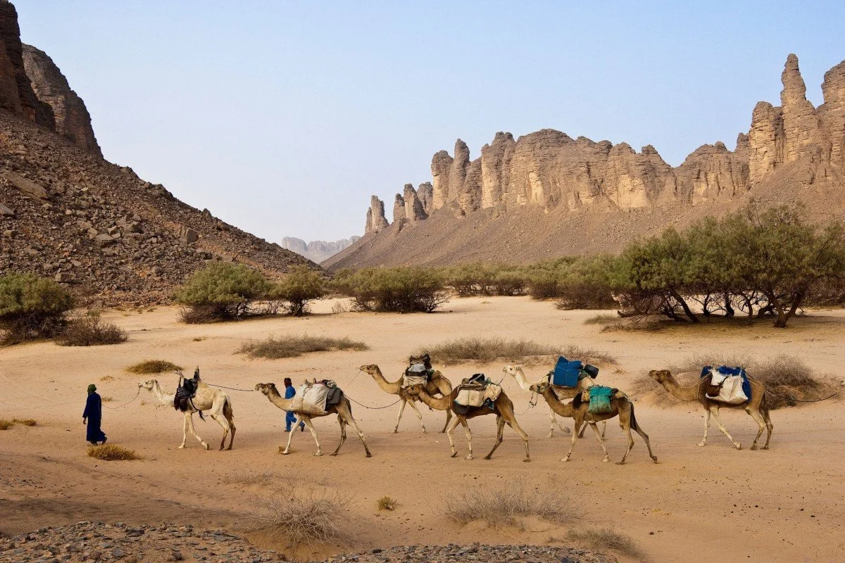 A caravan of camels being led through a desert landscape with rocky mountains and sparse vegetation.