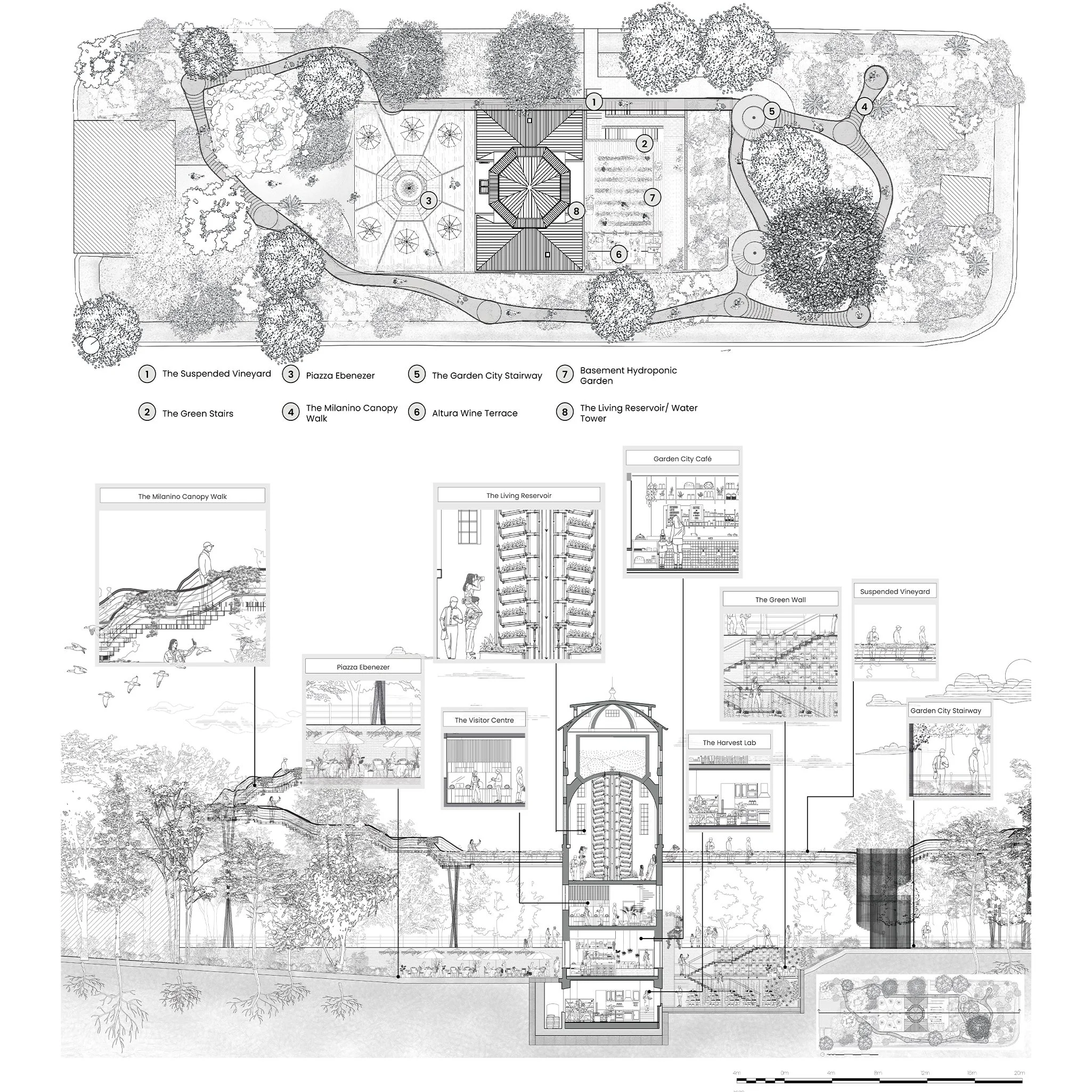 DWG 1C.jpg