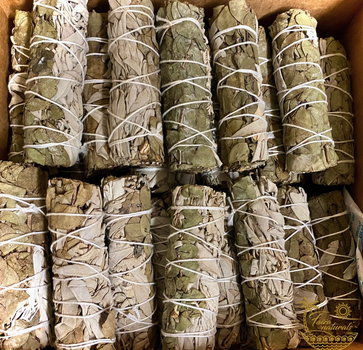 Screenshot 2026-04-24 at 9.06.04 AM.png