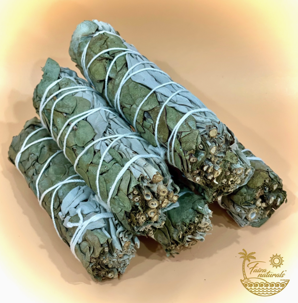 Eucalyptus and White Sage Bundle