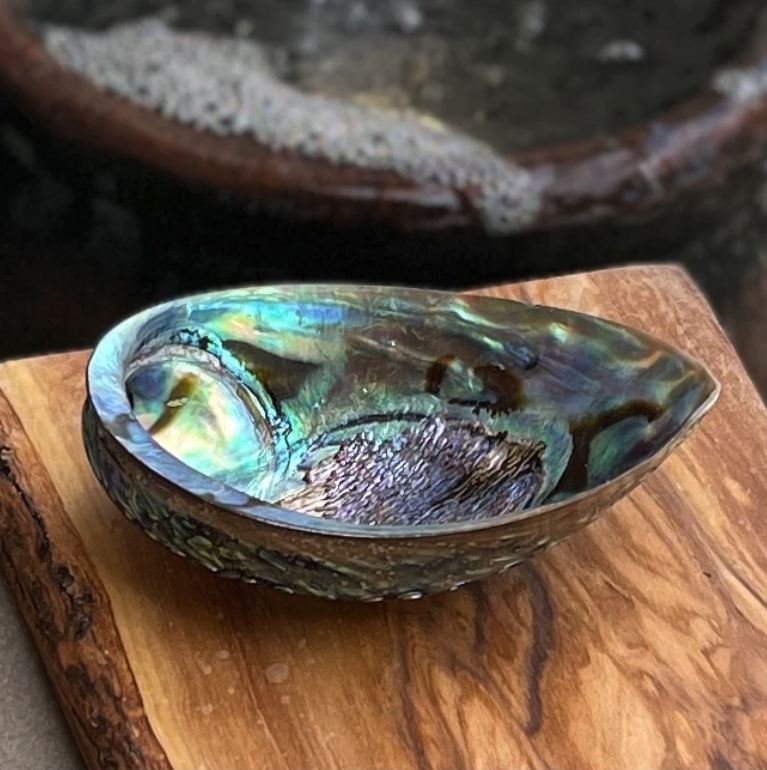 Abalone Shell Smudge Bowl