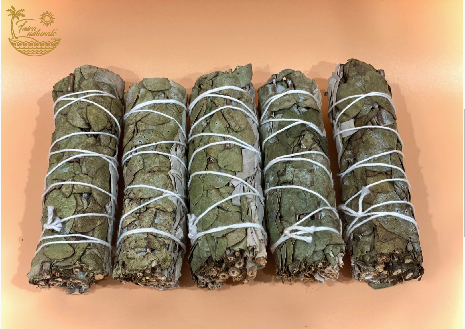 Screenshot 2026-04-24 at 9.05.57 AM.png