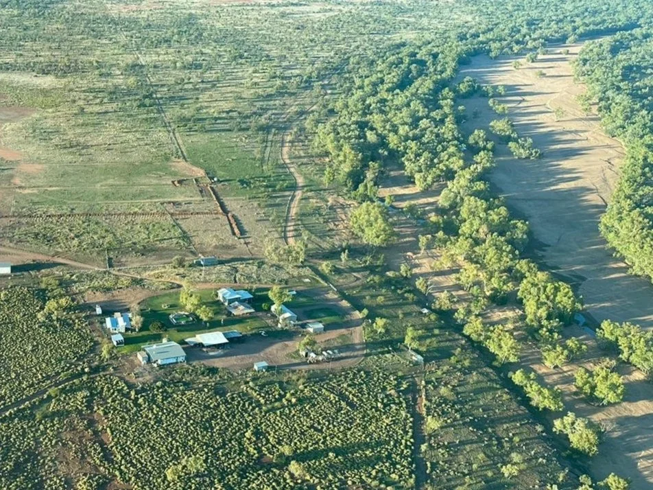 WhatsApp Image 2023-10-25 at 13.33.51.jpg