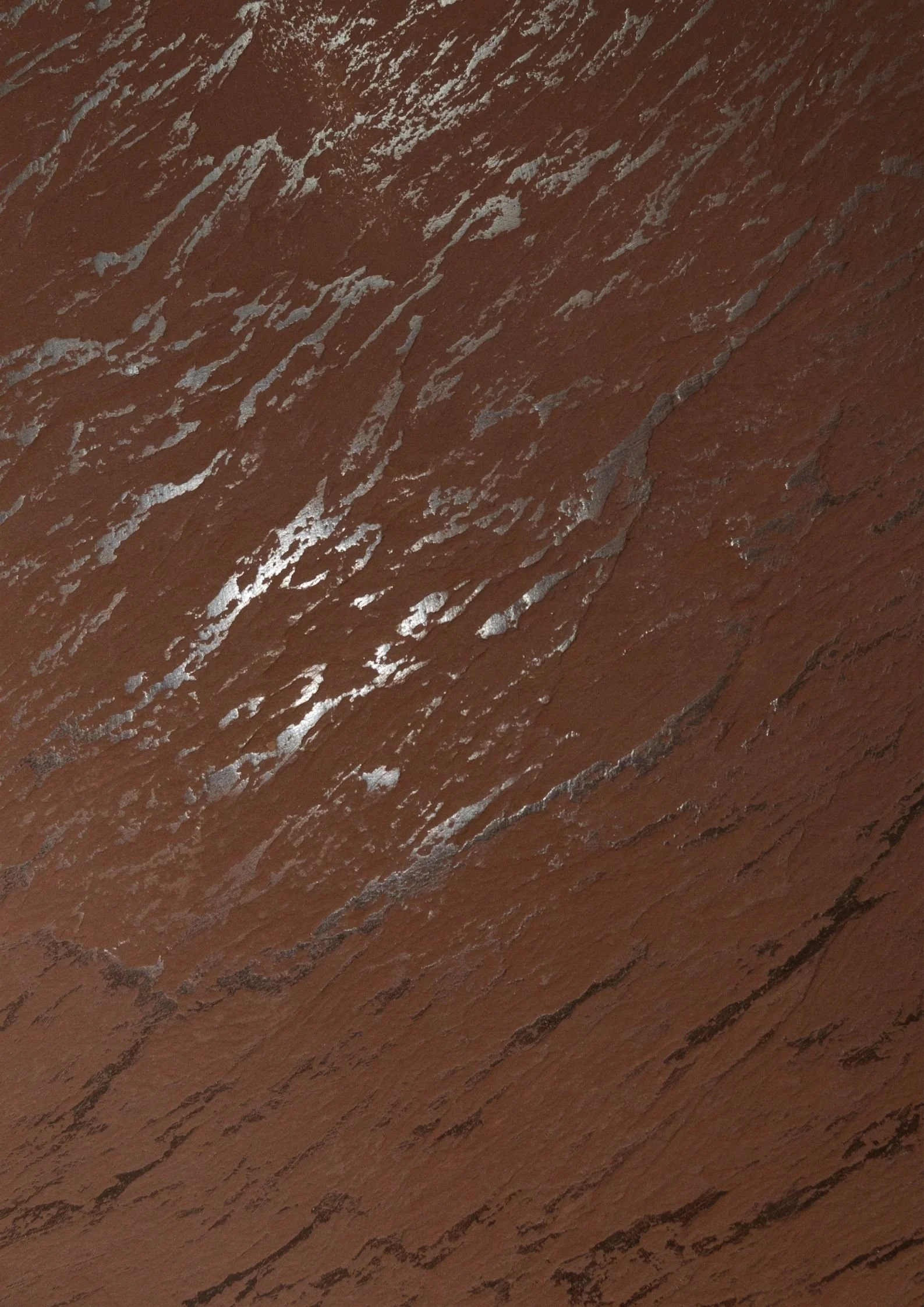 Close-up of a textured, reddish-brown rock surface with streaks of grayish-white mineral deposits.