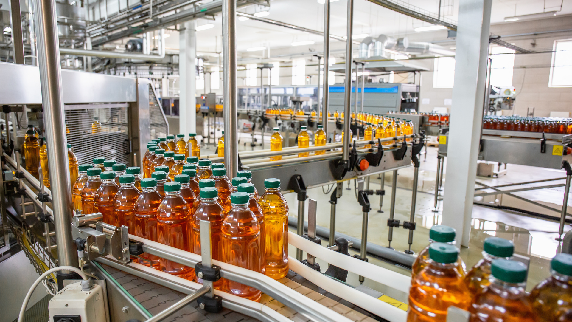 Start Small, Win Big: 4 Food and Beverage Automation Solutions That Boost Plant Uptime